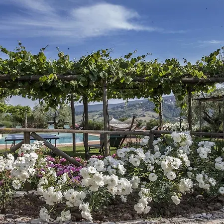 Belvedere Delle Crete Bauernhof *