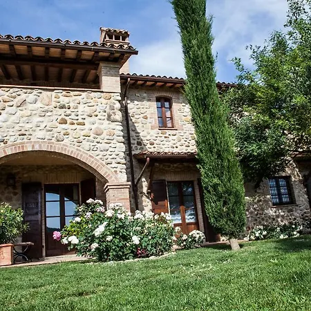 Belvedere Delle Crete *