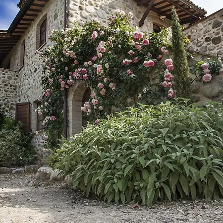 Belvedere Delle Crete *