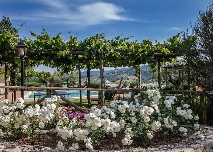 Belvedere Delle Crete مزرعة للإقامة *